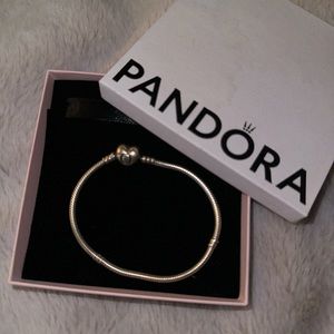 pandora charm bracelet
